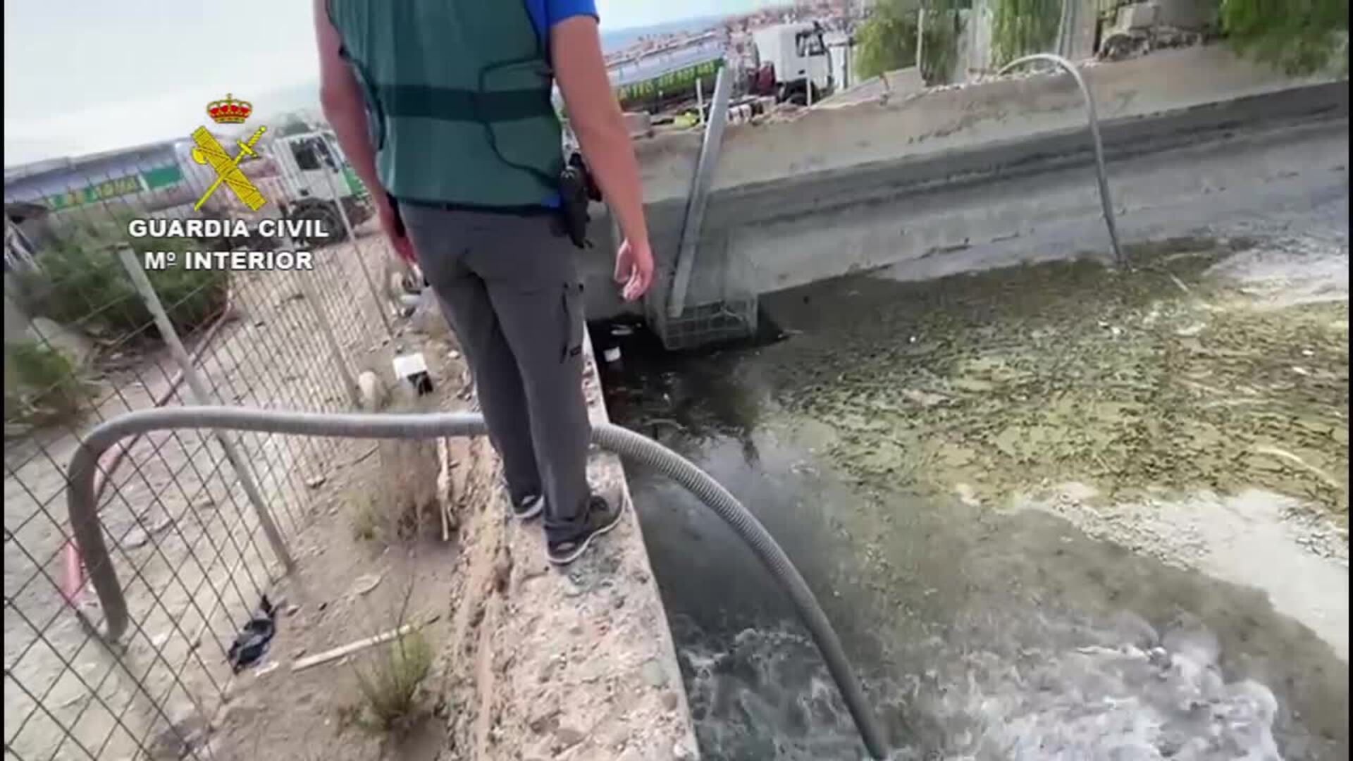 Rescatan a más de 300 peces que agonizaban por falta de agua en Arguineguín 